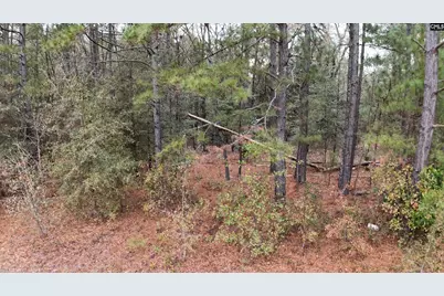 1319 Lakeshore Drive, Camden, SC 29020 - Photo 4