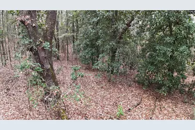 1319 Lakeshore Drive, Camden, SC 29020 - Photo 2