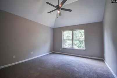 13 Cabinteely Court, Blythewood, SC 29016 - Photo 24