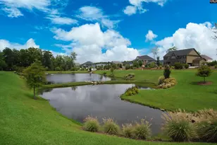 142 Almofini Ln, Chapin, SC 29036 - Photo 42