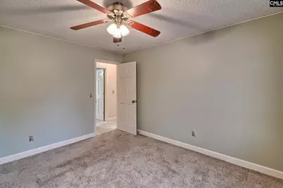 257 Brookspring Road, Columbia, SC 29223 - Photo 28