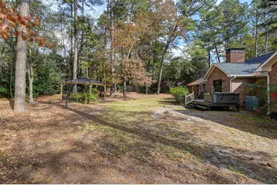 257 Brookspring Road, Columbia, SC 29223 - Photo 56
