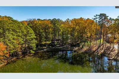 1908 Hollingshed Road, Irmo, SC 29063 - Photo 52