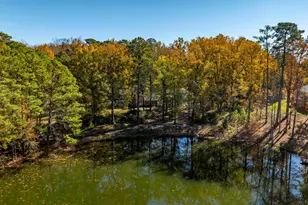 1908 Hollingshed Rd, Irmo, SC 29063 - Photo 52