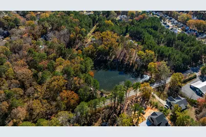 1908 Hollingshed Road, Irmo, SC 29063 - Photo 50