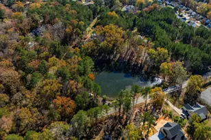 1908 Hollingshed Rd, Irmo, SC 29063 - Photo 50