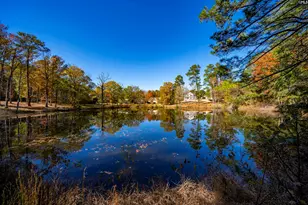 1908 Hollingshed Rd, Irmo, SC 29063 - Photo 10