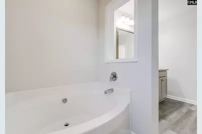 246 Honey Hill Way, Blythewood, SC 29016 - Photo 24