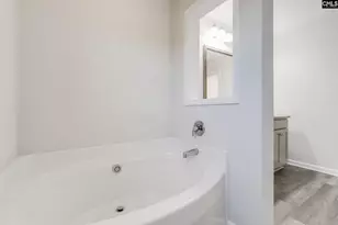 246 Honey Hill Way, Blythewood, SC 29016 - Photo 24