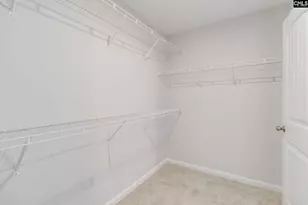 246 Honey Hill Way, Blythewood, SC 29016 - Photo 26