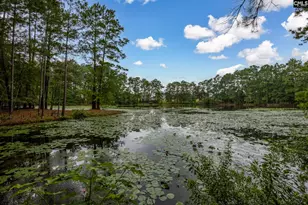 349 Gracemount Ln, Columbia, SC 29229 - Photo 42