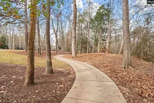1128 Britton Creek Ct, Lexington, SC 29072 - Photo 52