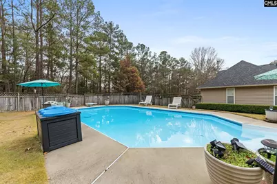 615 Juniper Springs Road, Gilbert, SC 29054 - Photo 44