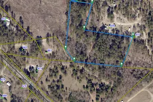 667 Hwy 178, Pelion, SC 29123 - Photo 1