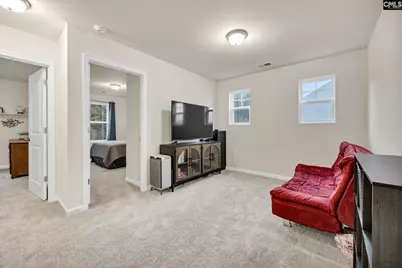 169 Carriagebrook Circle, Camden, SC 29020 - Photo 30