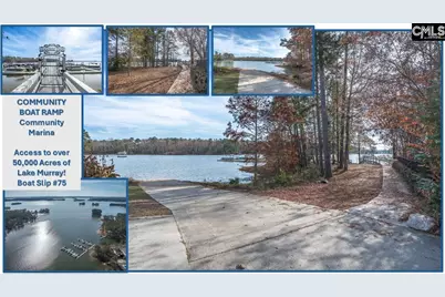 616 Calabria Court, Chapin, SC 29036 - Photo 52