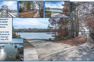 616 Calabria Ct, Chapin, SC 29036 - Photo 52