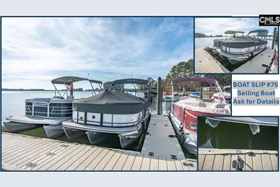 616 Calabria Court, Chapin, SC 29036 - Photo 54