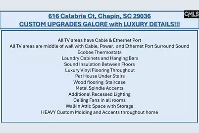 616 Calabria Court, Chapin, SC 29036 - Photo 12