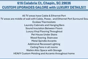 616 Calabria Ct, Chapin, SC 29036 - Photo 12