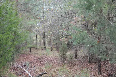 9 Nautical Drive, Camden, SC 29020 - Photo 4