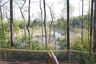 210 Hutto Hill, Gilbert, SC 29054 - Photo 16