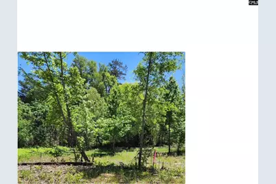 125 Meadow Lane, Eastover, SC 29044 - Photo 10