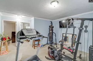 10160 Hornsboro Rd, Mount Croghan, SC 29727 - Photo 10