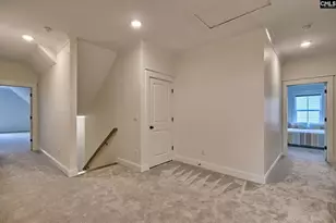 816 Elms Spiney Ln, Chapin, SC 29036 - Photo 30