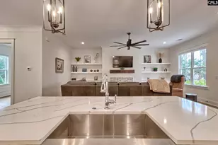 816 Elms Spiney Ln, Chapin, SC 29036 - Photo 8