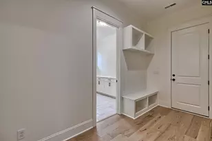 816 Elms Spiney Ln, Chapin, SC 29036 - Photo 28