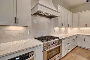 816 Elms Spiney Ln, Chapin, SC 29036 - Photo 6