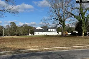 304 Saluda Ave, Leesville, SC 29070 - Photo 1