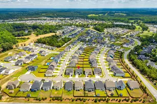 3020 Cannon Pl, Elgin, SC 29045 - Photo 40