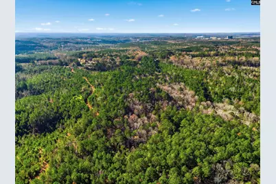 Hwy Sc 215 Tract D, Jenkinsville, SC 29065 - Photo 10
