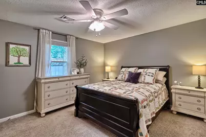 151 Meadow Wood Drive, Lexington, SC 29073 - Photo 12