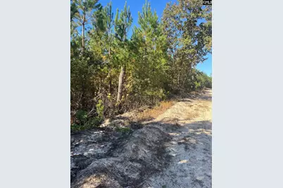 Bff 1E Brunson Teal Road Bff 1E #BFF 1E, Patrick, SC 29584 - Photo 28