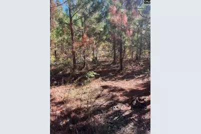 Bff 1E Brunson Teal Road Bff 1E #BFF 1E, Patrick, SC 29584 - Photo 18