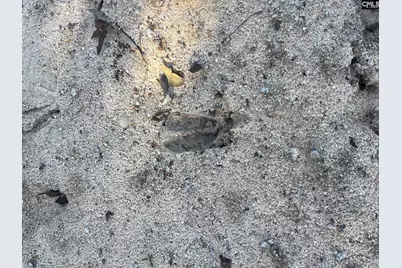 Bff 1E Brunson Teal Road Bff 1E #BFF 1E, Patrick, SC 29584 - Photo 32