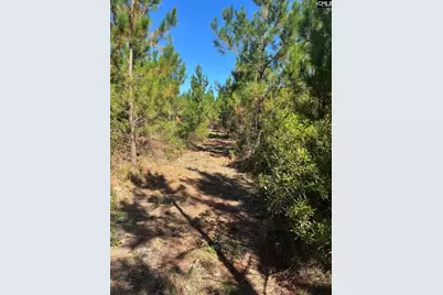 Bff 1E Brunson Teal Road Bff 1E #BFF 1E, Patrick, SC 29584 - Photo 4