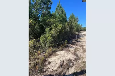 Bff 1E Brunson Teal Road Bff 1E #BFF 1E, Patrick, SC 29584 - Photo 26