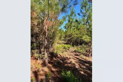 Bff 1E Brunson Teal Road Bff 1E #BFF 1E, Patrick, SC 29584 - Photo 10