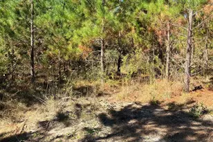 Bff 1E Brunson Teal Road Bff 1E, Patrick, SC 29584 - Photo 1