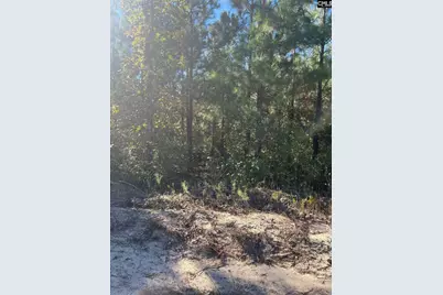 Bff 1E Brunson Teal Road Bff 1E #BFF 1E, Patrick, SC 29584 - Photo 34