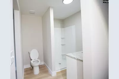 213 Pineview Drive, Swansea, SC 29160 - Photo 50