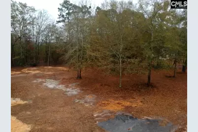 213 Pineview Drive, Swansea, SC 29160 - Photo 16