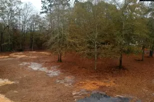 213 Pine View Dr, Swansea, SC 29160 - Photo 16