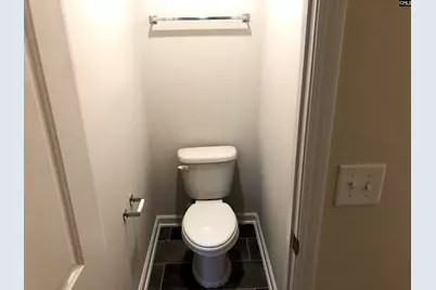 224 Olde Farm Road, Lexington, SC 29072 - Photo 24