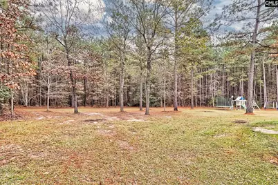 109 Wicker Road, Pomaria, SC 29126 - Photo 48