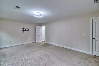 109 Wicker Road, Pomaria, SC 29126 - Photo 44